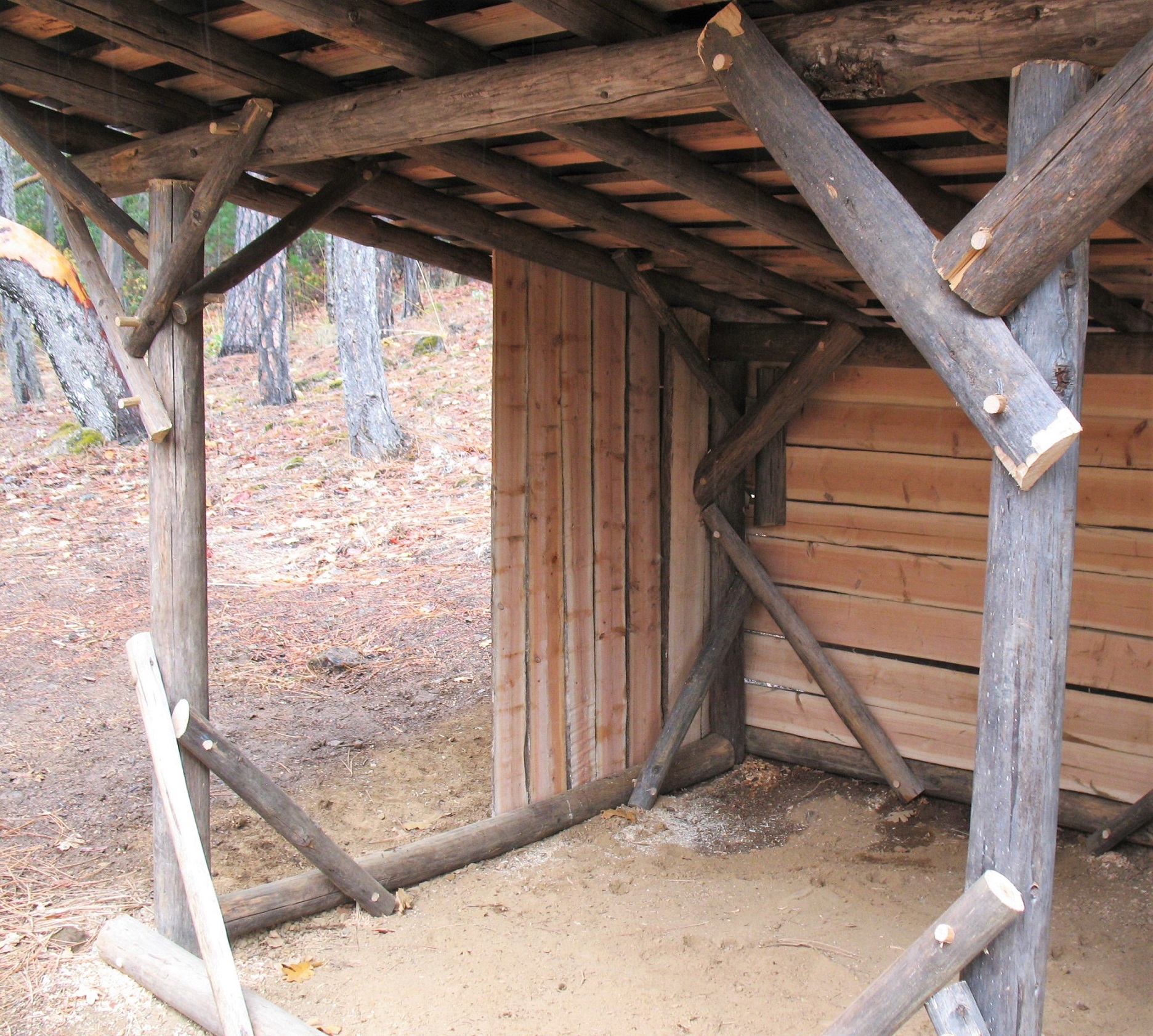 Bushcraft Shelter